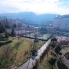 Trabzon üniversitesi